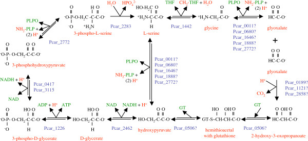 Figure 11