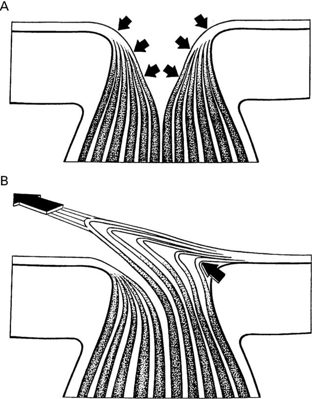 Figure 5  