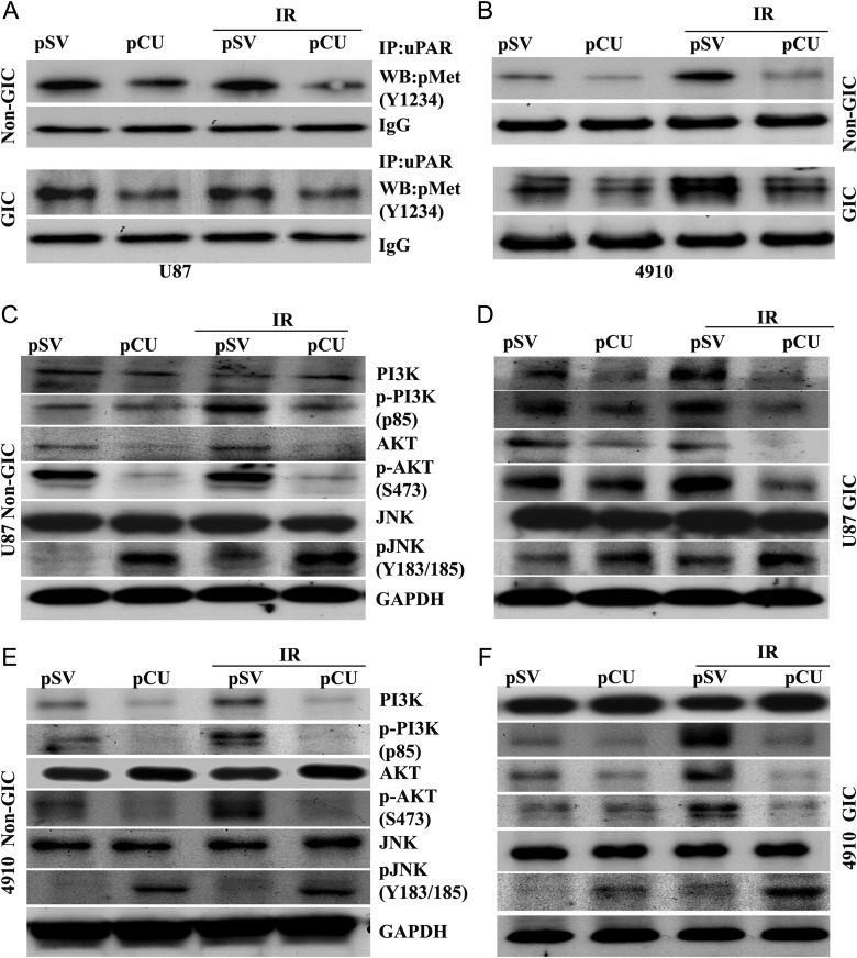 Fig. 6.