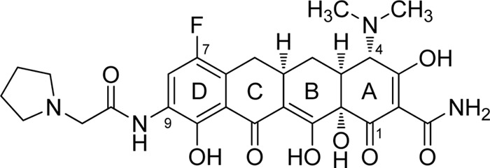 Fig 1