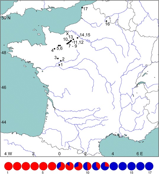 Fig. 1