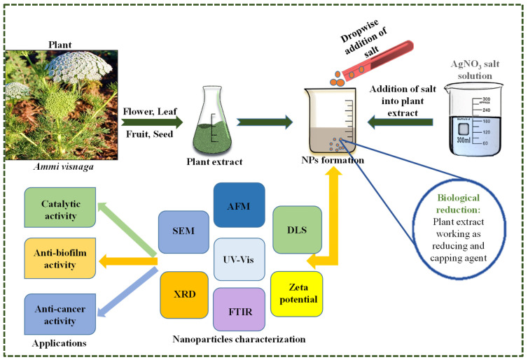 Scheme 1