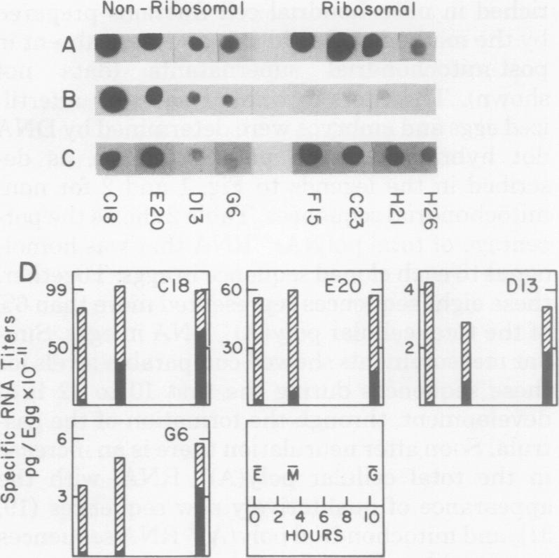 graphic file with name molcellb00130-0036-a.jpg