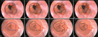 Figure 17