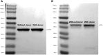 Figure 9.