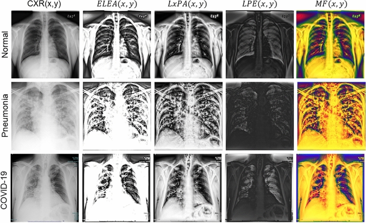 Fig. 2