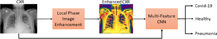 Fig. 1