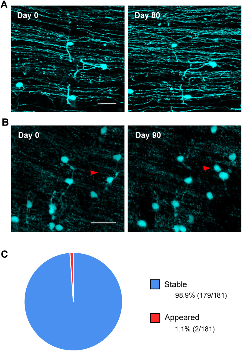 Figure 4.