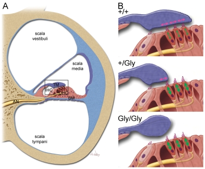 Fig. 9.