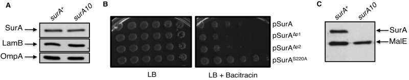 FIG 6 