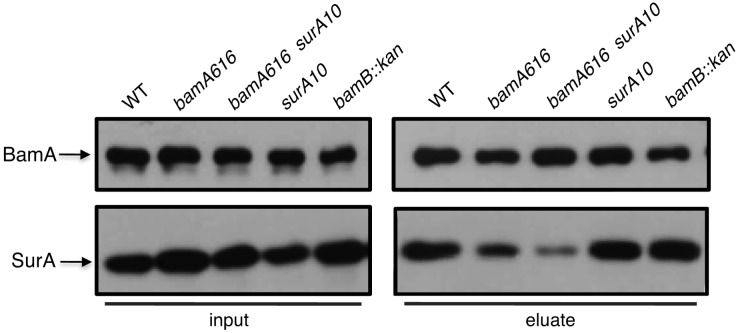 FIG 4 