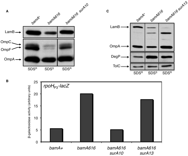 FIG 3 