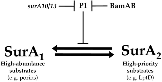 FIG 7 