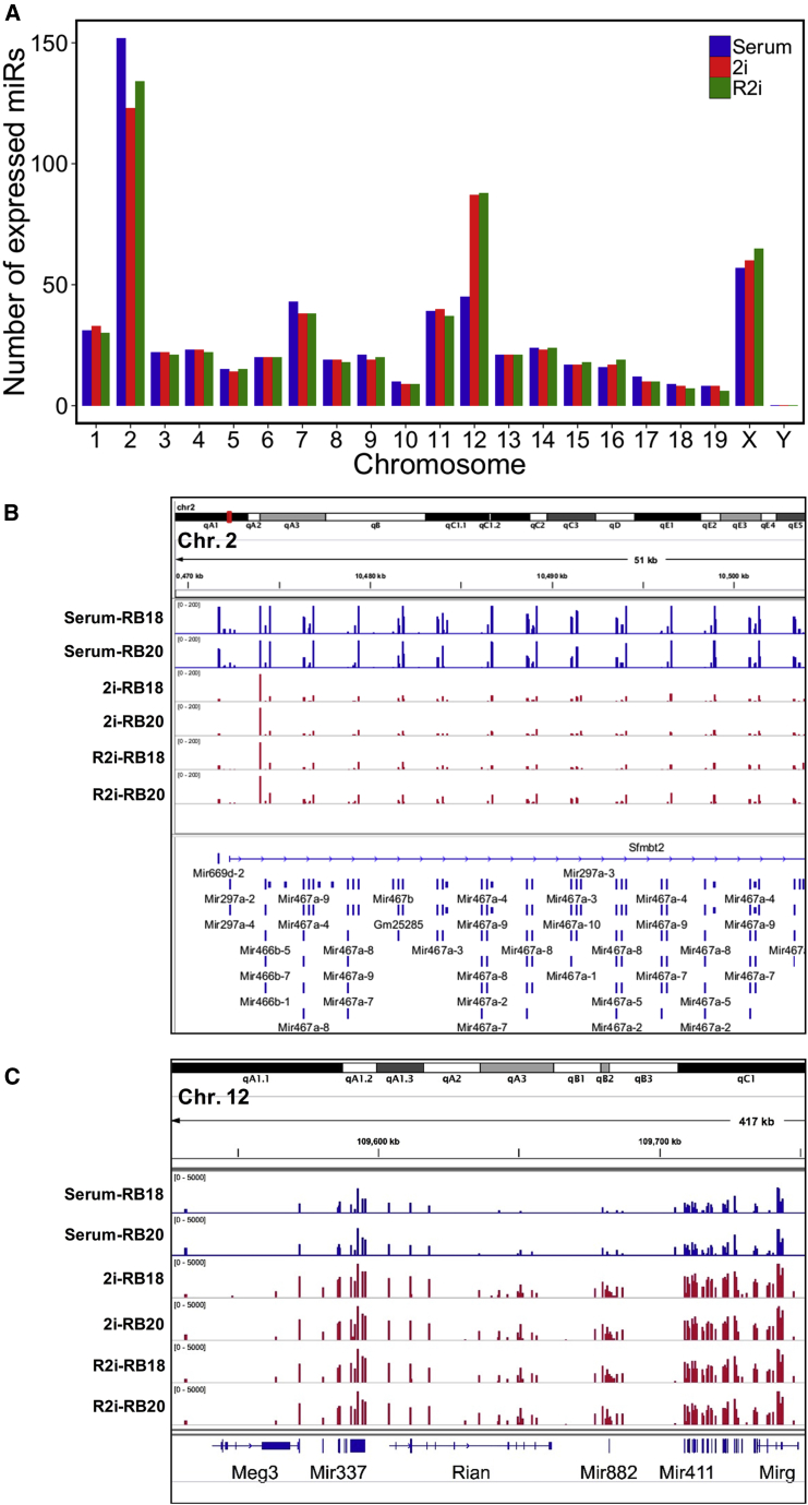 Figure 4