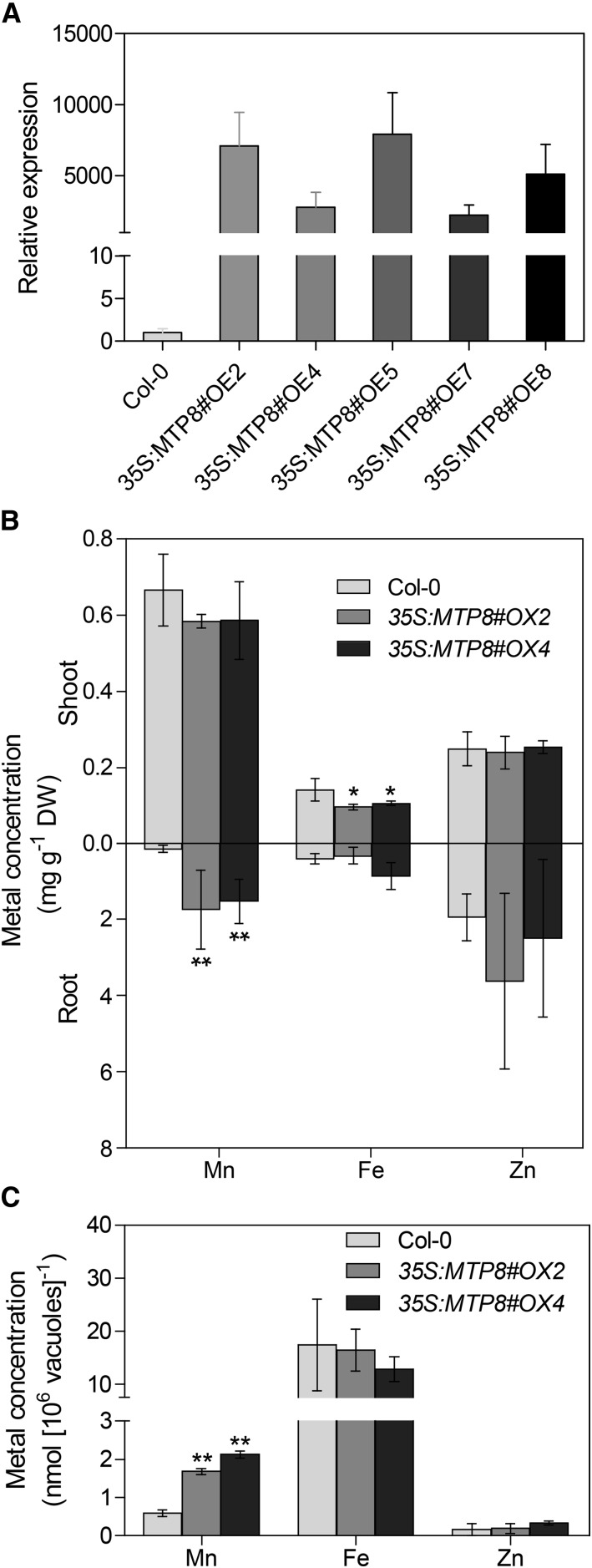 Figure 5.