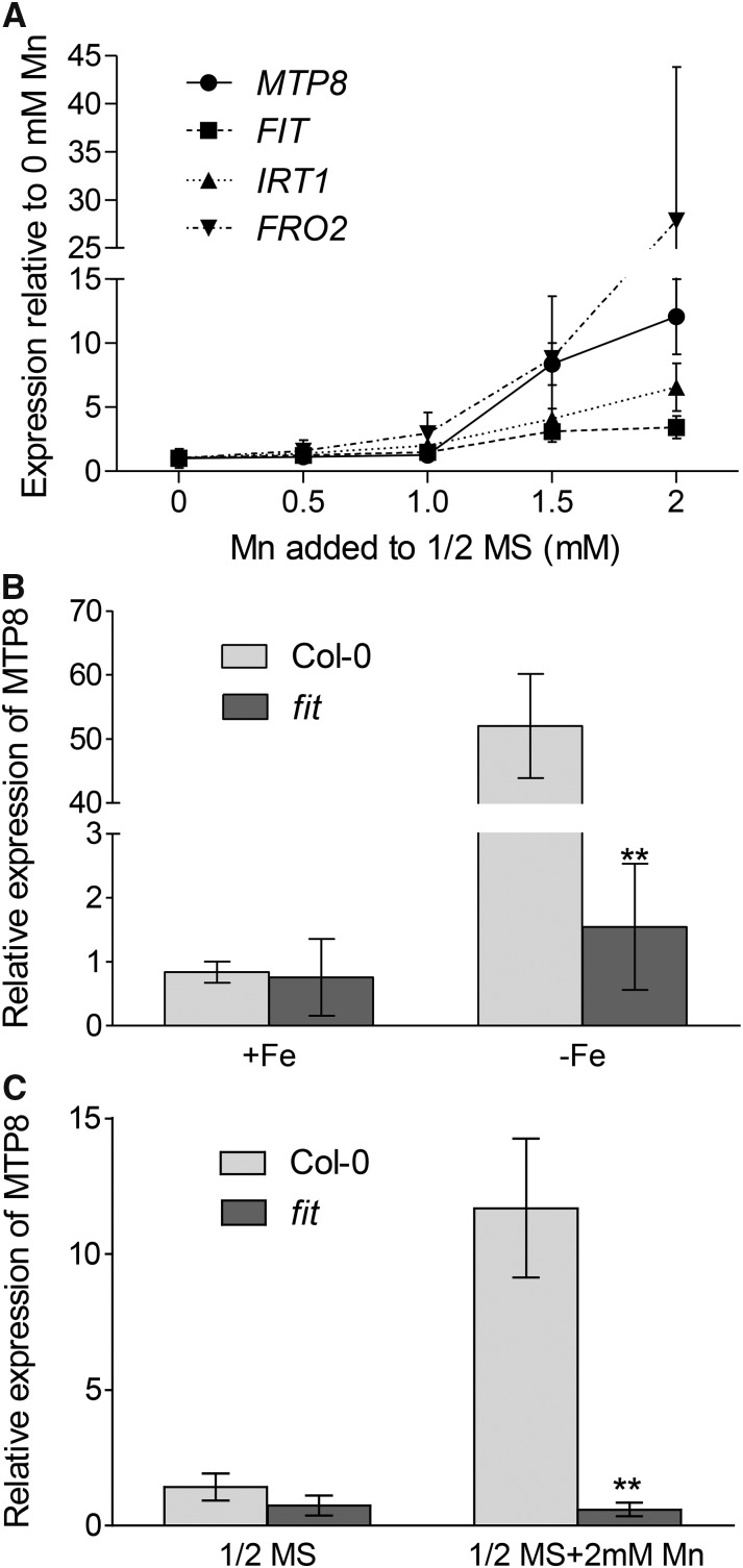 Figure 6.