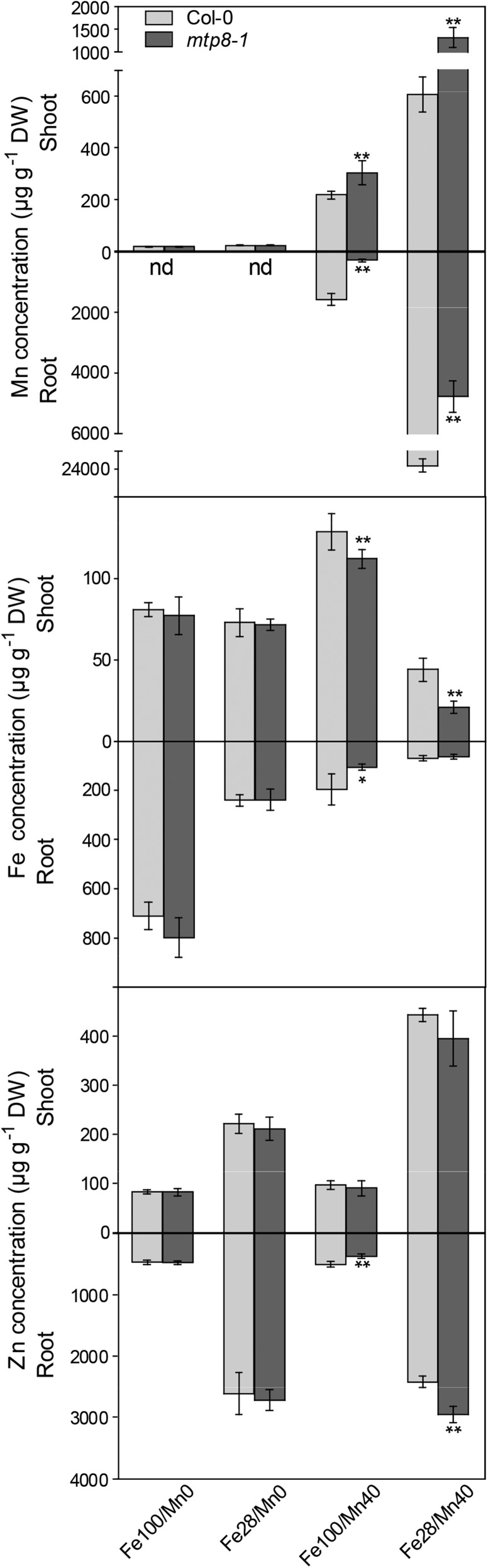 Figure 9.