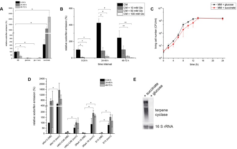 FIGURE 3