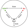 Schematic of chemotaxis assay plate.