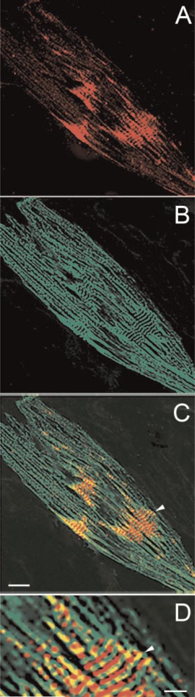 Fig. 4