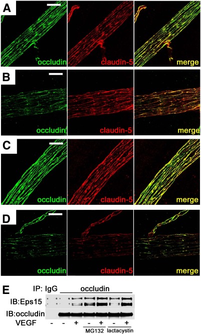 FIG. 9.