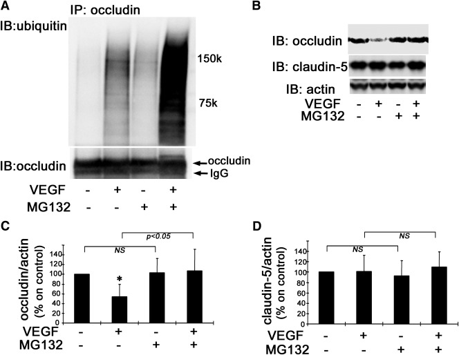 FIG. 7.