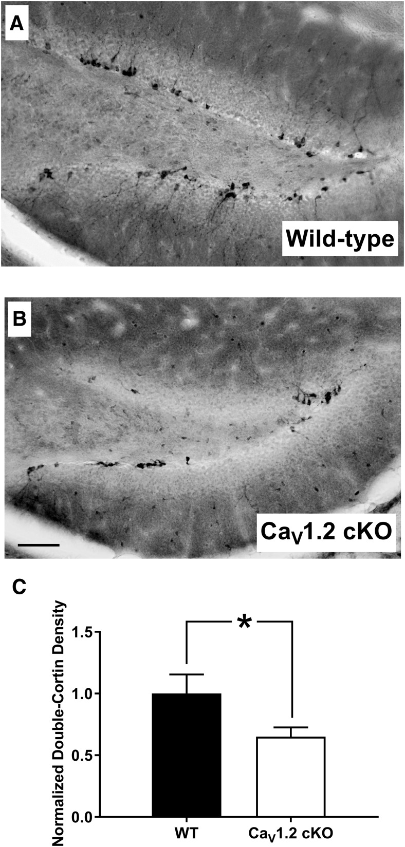 Figure 6.