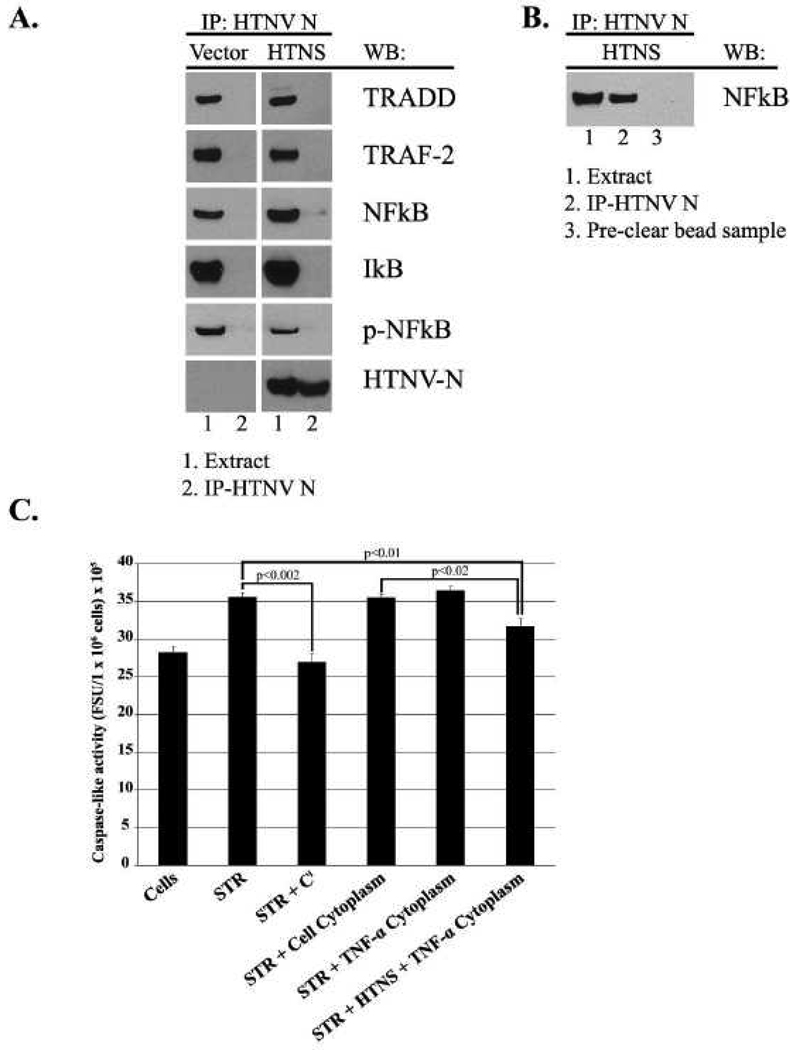 FIG. 5