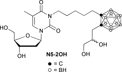 Thymidine kinase 1 as a molecular target for boron neutron capture ...