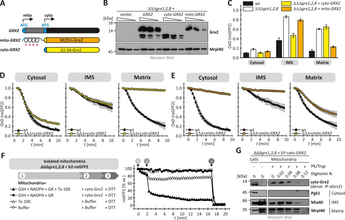 FIGURE 2: