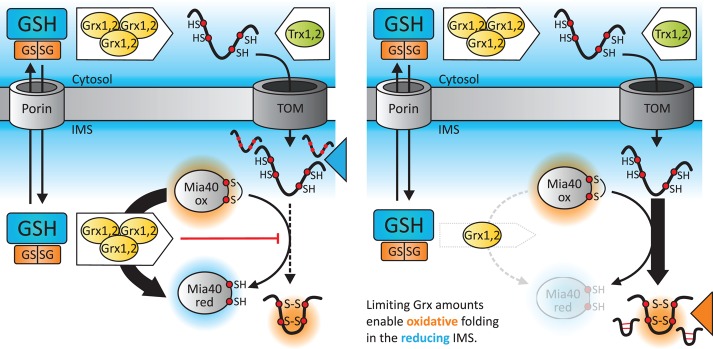 FIGURE 6: