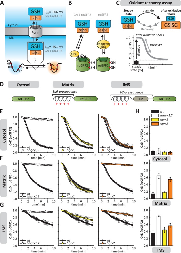 FIGURE 1: