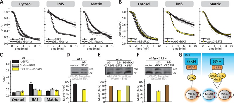 FIGURE 4: