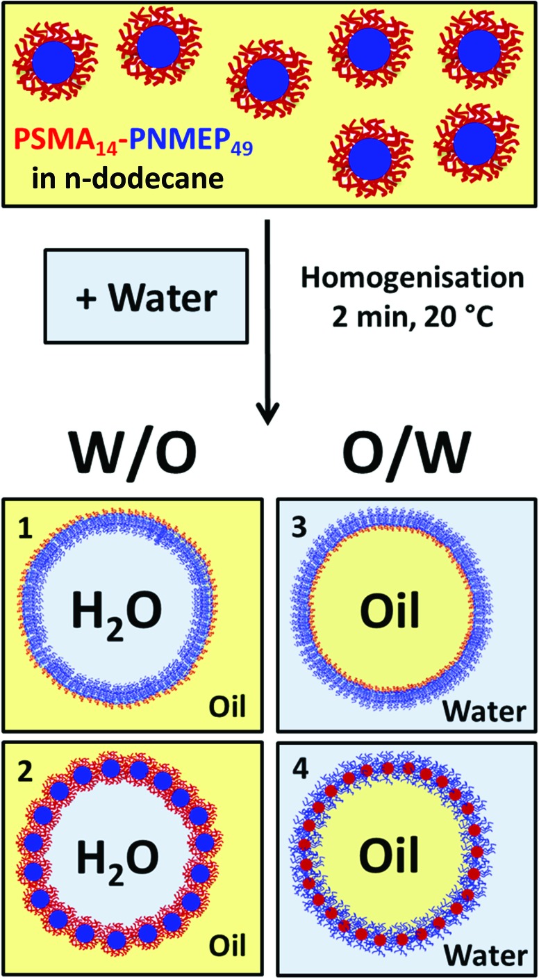 Scheme 2