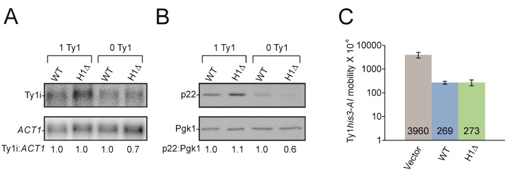 Figure 9