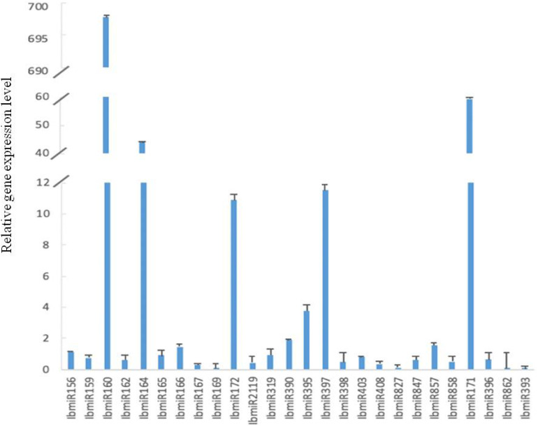 FIGURE 4