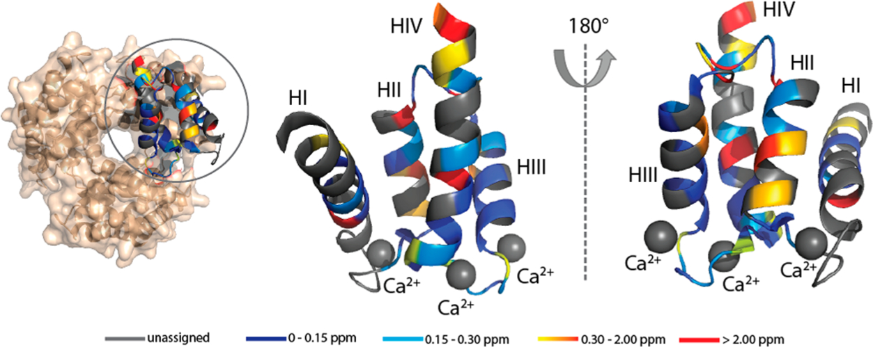 Figure 10.