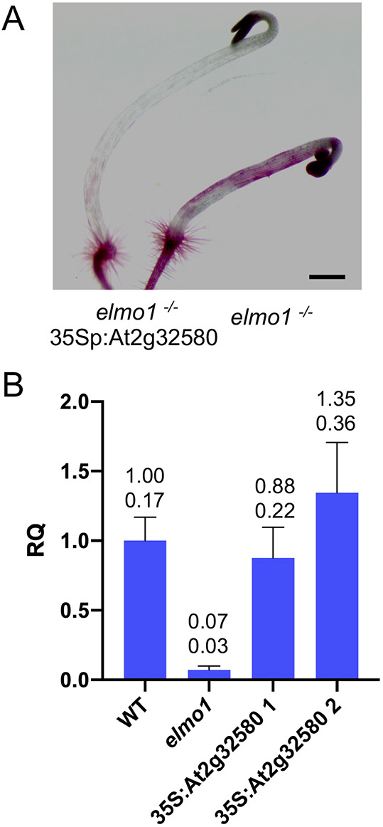 Fig. 4.