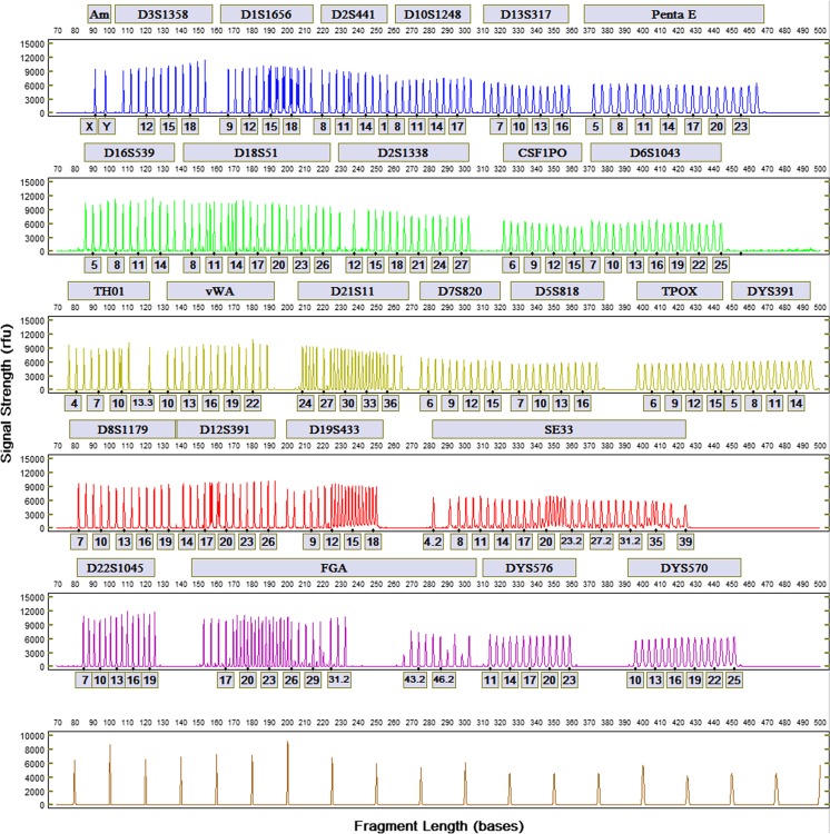 Fig. 3