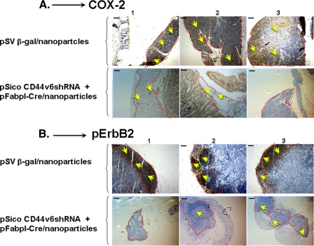 FIGURE 13.