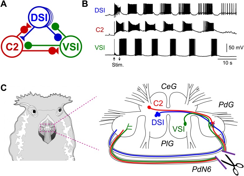 Figure 1.