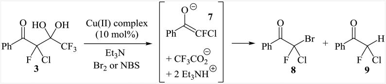 Scheme 3