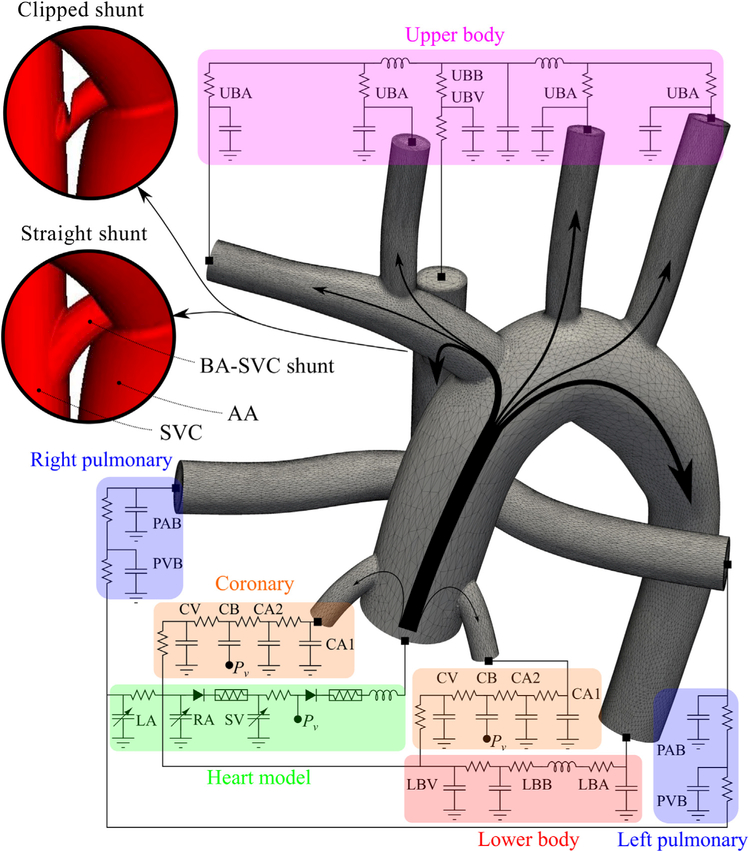 FIGURE 3.