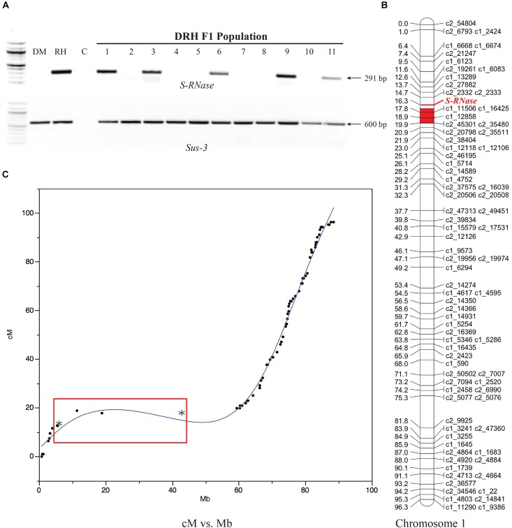 FIGURE 2