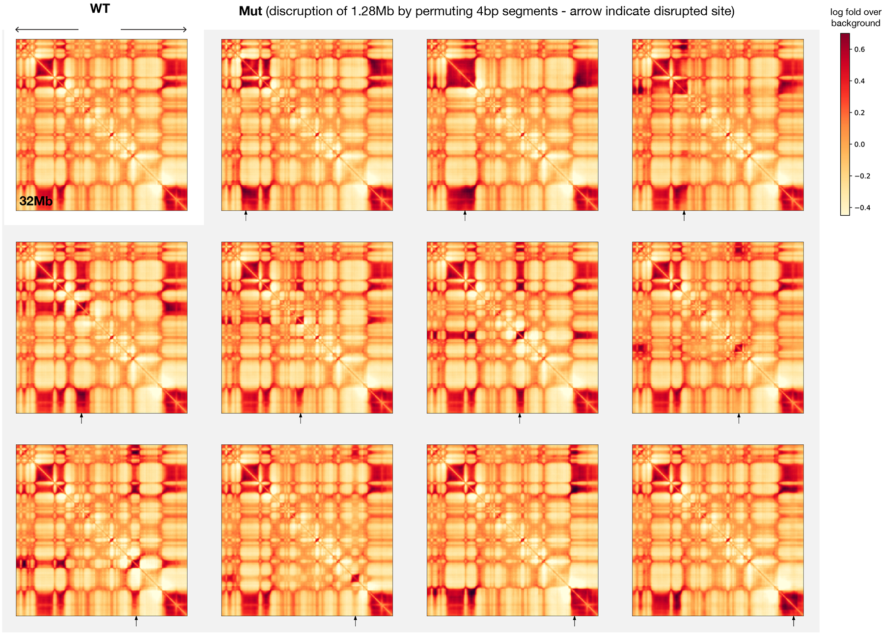 Extended Data Fig. 10