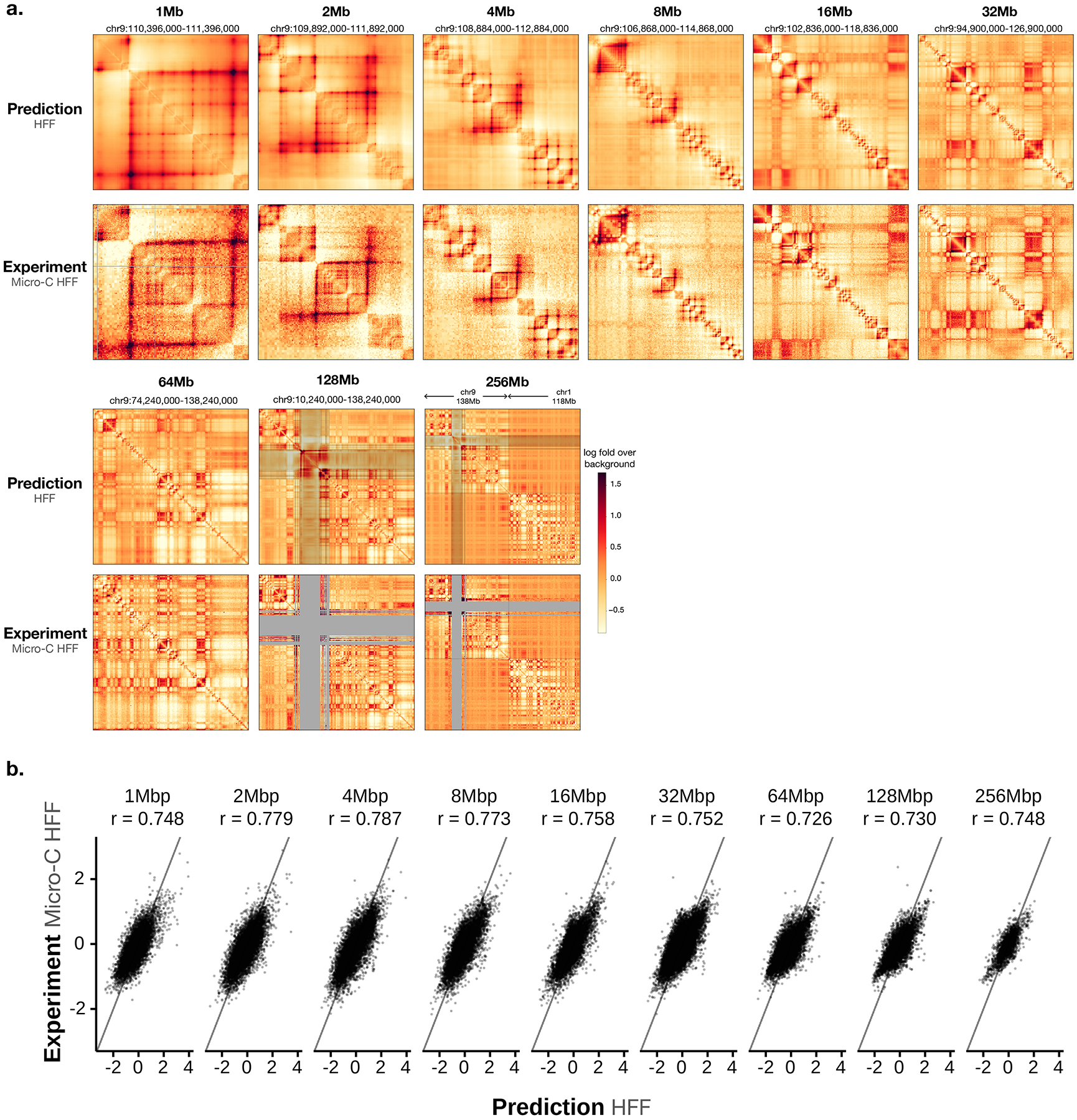 Extended Data Fig. 1