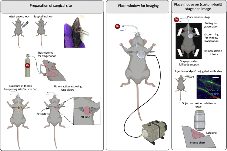 Figure 6