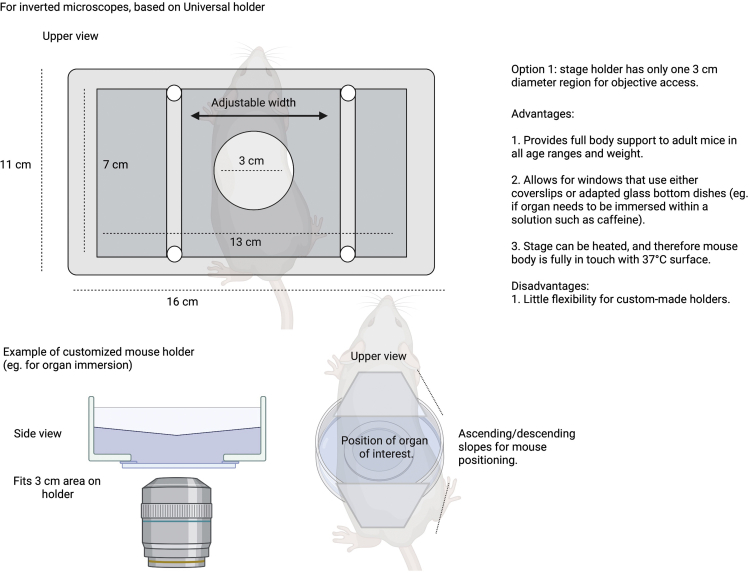 Figure 18