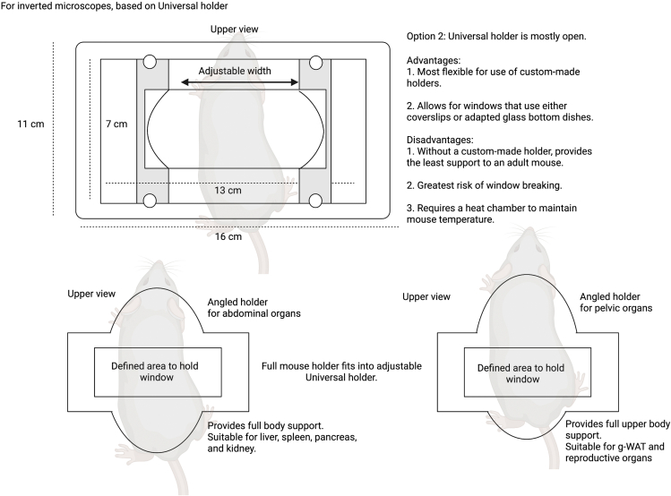 Figure 19