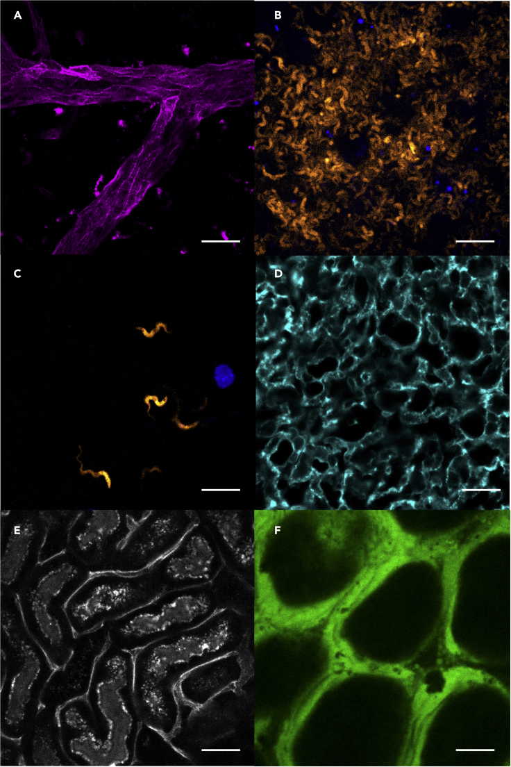 Figure 15